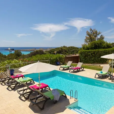 Paradis By *